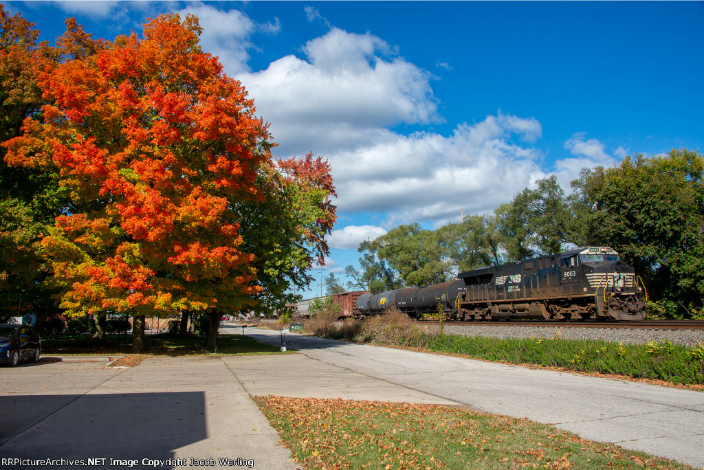 NS 8063